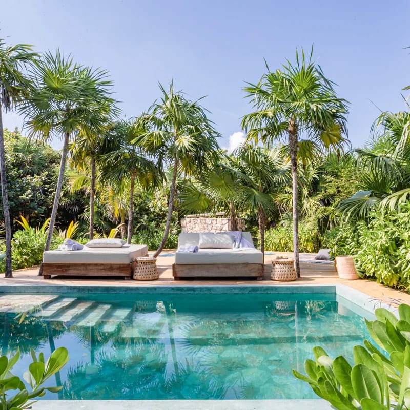 Wander Tulum Scenic